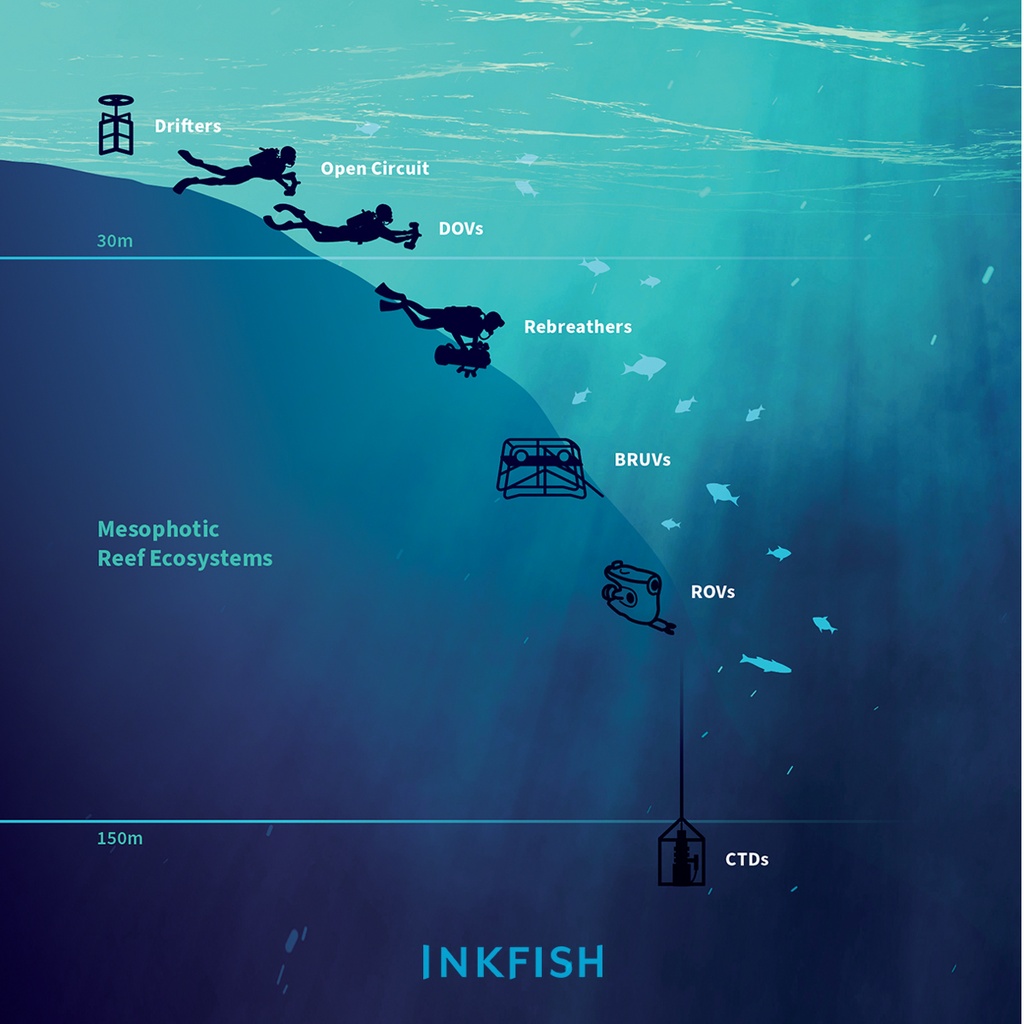 Education Deep Sea